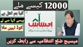 Ehsas Emergency Cash Parogram Payment Method |insaf imdad | zila intizamia
