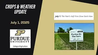 Purdue Crop & Weather Update July 1st, 2025