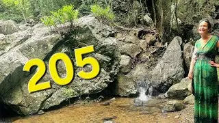 205- Cannonvale Beach, Airlie Creek & Mandalay