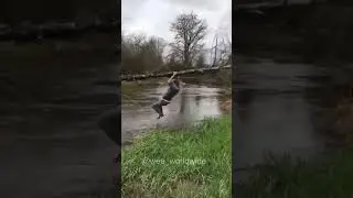 #Funny #wee #failed #memes #SUBSCRIBE for daily updates! #Shorts