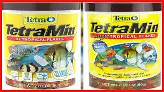 TetraMin Large Tropical Flakes For Top or Mid Feeders