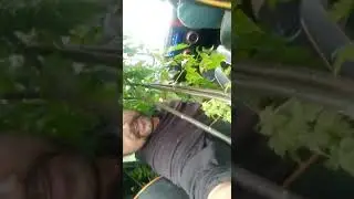 Green Donor Hero Efforts: Green Donor EERC Video no. 25