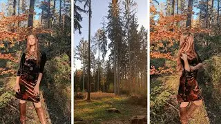 Beautiful Forest: Relax by Nature | Nature | Relaxing Video | Walk by Forest | Video For Relax