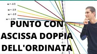 Punto con ascissa doppia dell'ordinata su una retta: come si trovano le coordinate?