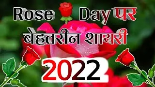 Rose day special love shayari 2022🌹 new love Shayari 2022🌹 Rose day Hindi shayari