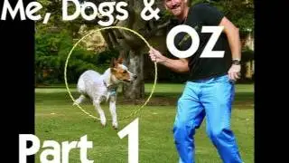 Me, Dogs & OZ. (Part 1)