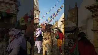Nepal Tour | Buddha Stupa | Kathmandu | #shorts #learn4future #religious #healing