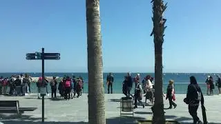 Barceloneta Beach - Gorgeous views of the Passeig Maritim and the Mediterranean Sea