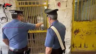 Video CC: Sequestro cavalli x corsa clandestina