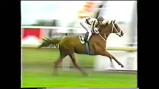 1986 Caulfield Stakes
