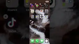How to Delete Viruses from Phone