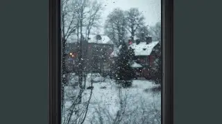 Winter Wish