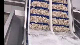 Granular flake ice - Cook and Chill Seafood