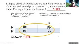 Practice Genetics Problems Solutions