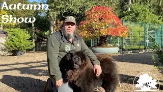 Autumn Show - Greenwood Bonsai