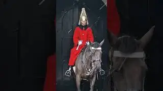 Snow fall kings guards in the right horse box  #thekingsguard