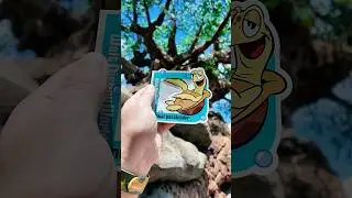 NEW Passholder Magnet is Here!! 🌊 #shorts #disneyworld #annualpassholder #disneysanimalkingdom