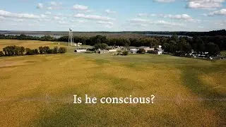 Cumberland Hospital 911
