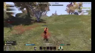 One tamriel dueling
