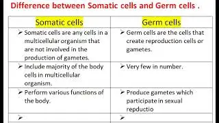 Difference Between Somatic Cell and Germ Cell