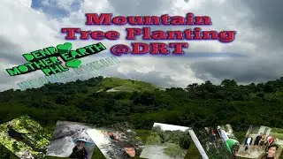 Tree planting @DRT