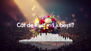CÂT DE MULT MĂ IUBEȘTI? ✨ (Reinterpretare 2026)