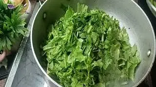     Aaloo Palak ki sabji.   Roti  aur Semiya