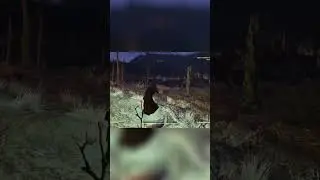 Когти смерти вызвали у меня посттравматическое стрессовое расстройство! #короткометражки #fallout...