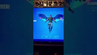Fortnite Rainbow Wing Chris Redfield