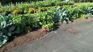 Beverly Farms Gardens 2025