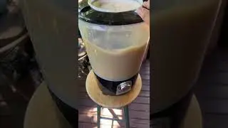 Kavafied Magic Kava Bucket