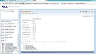 PBX  NEC SL1000(SL2100)   SETUP Busy tone