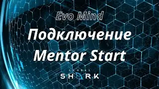 Evo Mind  Подключение торговой системы Mentor Start