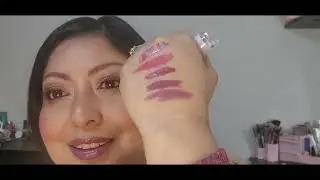 Project Pan  Labiales 💄 2026 // Barra y Liquidos // Intro//