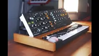 Behringer Poly D #1 Synthesizer on Thomann Music