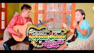 PROYECCION GUTIERREZ TEMA: TORO TOREÑITA