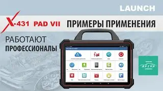 PAD VII: 4 года использования, отзыв специалиста.