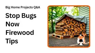 Stop Pests Fast With These Firewood Stacking Hacks