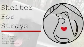 Shelter for Strays