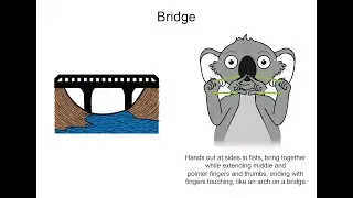 Mapleton Lilyponds Park Communication Board Key Word Sign tutorial - Bridge