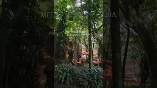 Travel Guide: Medell&iacute;n Colombia 🇨🇴 #medellin #travelguide #sudamerica #thingstodo #discovercolombia