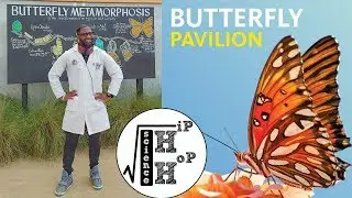 Butterfly Pavilion NHM VLOG - Hip Hop Science