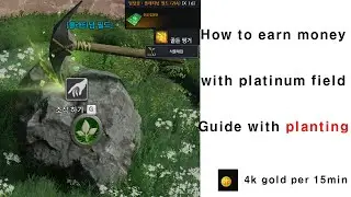 LostArk Guide of platinum field - planting (additional gold earning)
