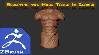 Sculpting A Male Torso in Zbrush Time lapse
