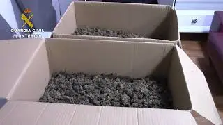 Operaci&oacute;n Ludar