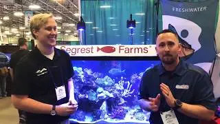 STOP don&rsquo;t do that, Make your fish tank your passion! |Segrest Farms