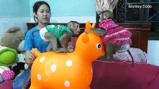 Wow Funny Video!! Dodo Mori Share Charming Animal Toy Play With Each Other