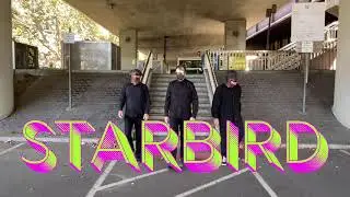 Plain Magic - Starbird