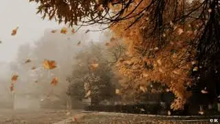 Nina Berg & Arizona Jazz Band(USA) - Тают образы-картинки, паутинки... @AgencyIK