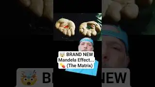 🤯 Совершенно новый эффект Манделы...💊 (Матрица) #эффектманделы #матрица